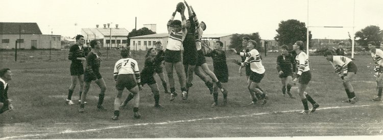 [JJ du Preez Under 19 first team 1963 (1)-website.jpg]